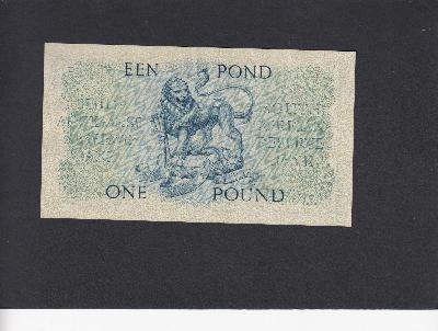 Beschrijving achterzijde: LION